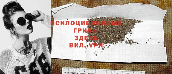 ешки Арсеньев